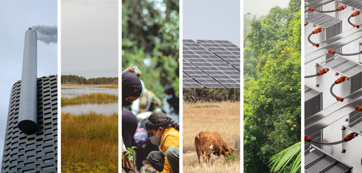 Oxford Univ. sets principles to help countries, corporate engage in carbon trading