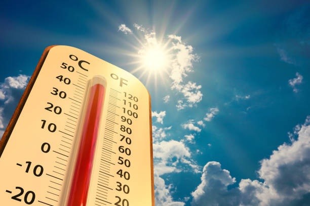 WMO: Expected record temperature levels in next 5 years to up climate risks, affect sustainable development