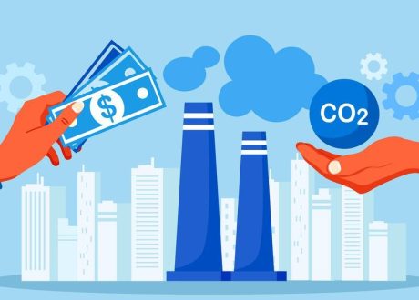 World Bank: Carbon pricing revenues exceeded $100 bn in 2024