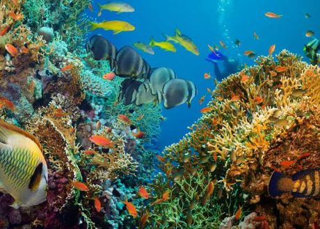 “One Ocean Finance” to unlock billions in new financing from blue economy