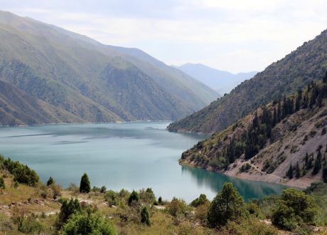 GEF unlocks $77.6 million to scale nature, climate solutions across 10 countries