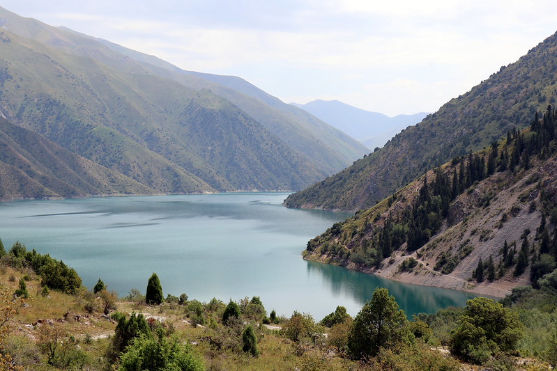 GEF unlocks $77.6 million to scale nature, climate solutions across 10 countries