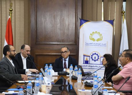 باستثمارات تتجاوز 50 مليون دولار.. «اليونيدو» تنفذ 23 مشروعًا تنمويًا لتعزيز النمو المستدام في مصر