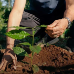 Nestlé Sustainability Program almost doubles women’s empowerment, lifts cocoa income 190%