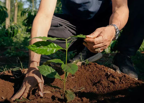Nestlé Sustainability Program almost doubles women’s empowerment, lifts cocoa income 190%