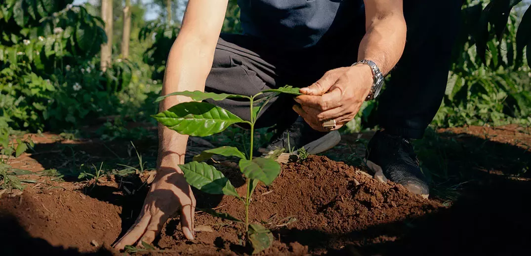 Nestlé Sustainability Program almost doubles women’s empowerment, lifts cocoa income 190%