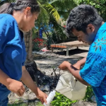 UNEP, GEF launch $23.5 m program to track toxic chemicals worldwide