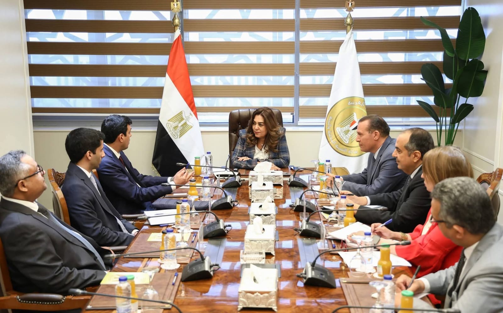 وزيرة التنمية المحلية والبيئة تبحث مع الأمين العام لمنظمة المدن العربية تعزيز التعاون وتبادل الخبرات