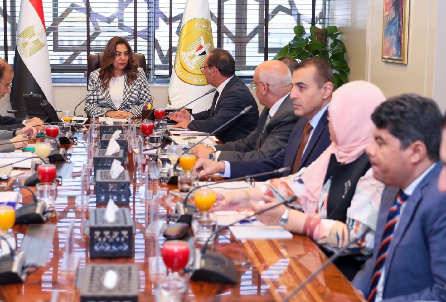 وزارة التنمية المحلية والبيئة:تمويل المشروعات البيئية ذات الأولوية.. وتعزيز الشراكات مع مختلف الجهات الوطنية