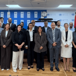 UNDP, MSMEDA launch green link task force to accelerate Egypt’s green economy
