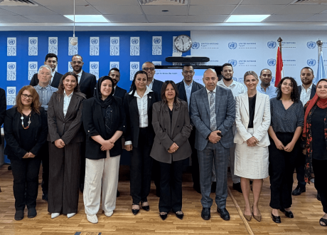UNDP, MSMEDA launch green link task force to accelerate Egypt’s green economy