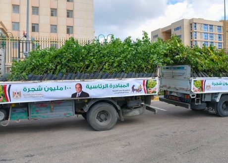 مبادرة «100 مليون شجرة».. الانتهاء من تنفيذ المرحلة الرابعة وزراعة أكثر من 200 ألف شجرة