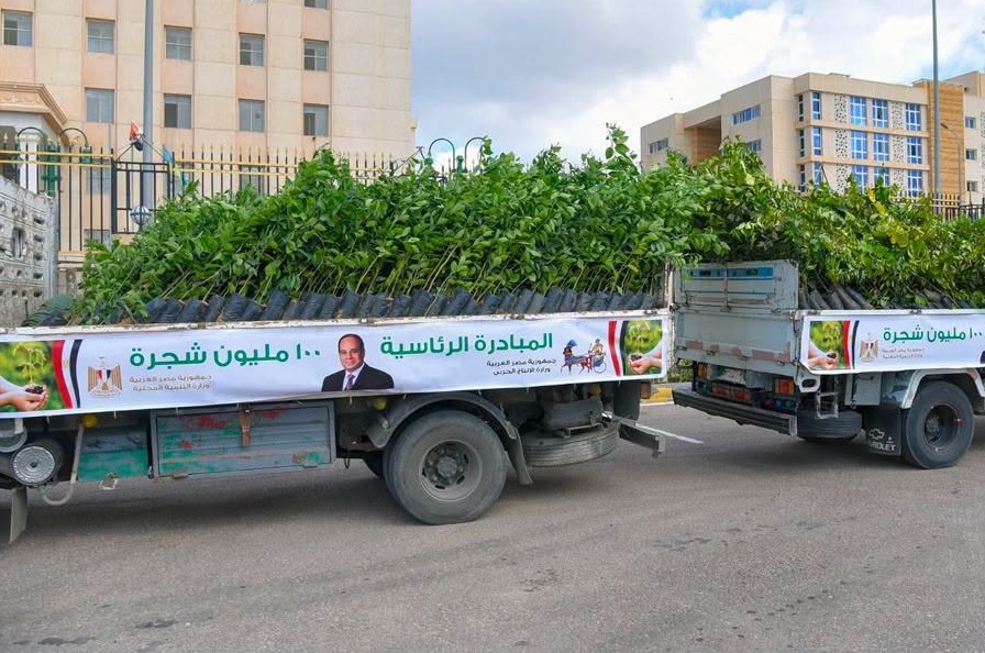 مبادرة «100 مليون شجرة».. الانتهاء من تنفيذ المرحلة الرابعة وزراعة أكثر من 200 ألف شجرة