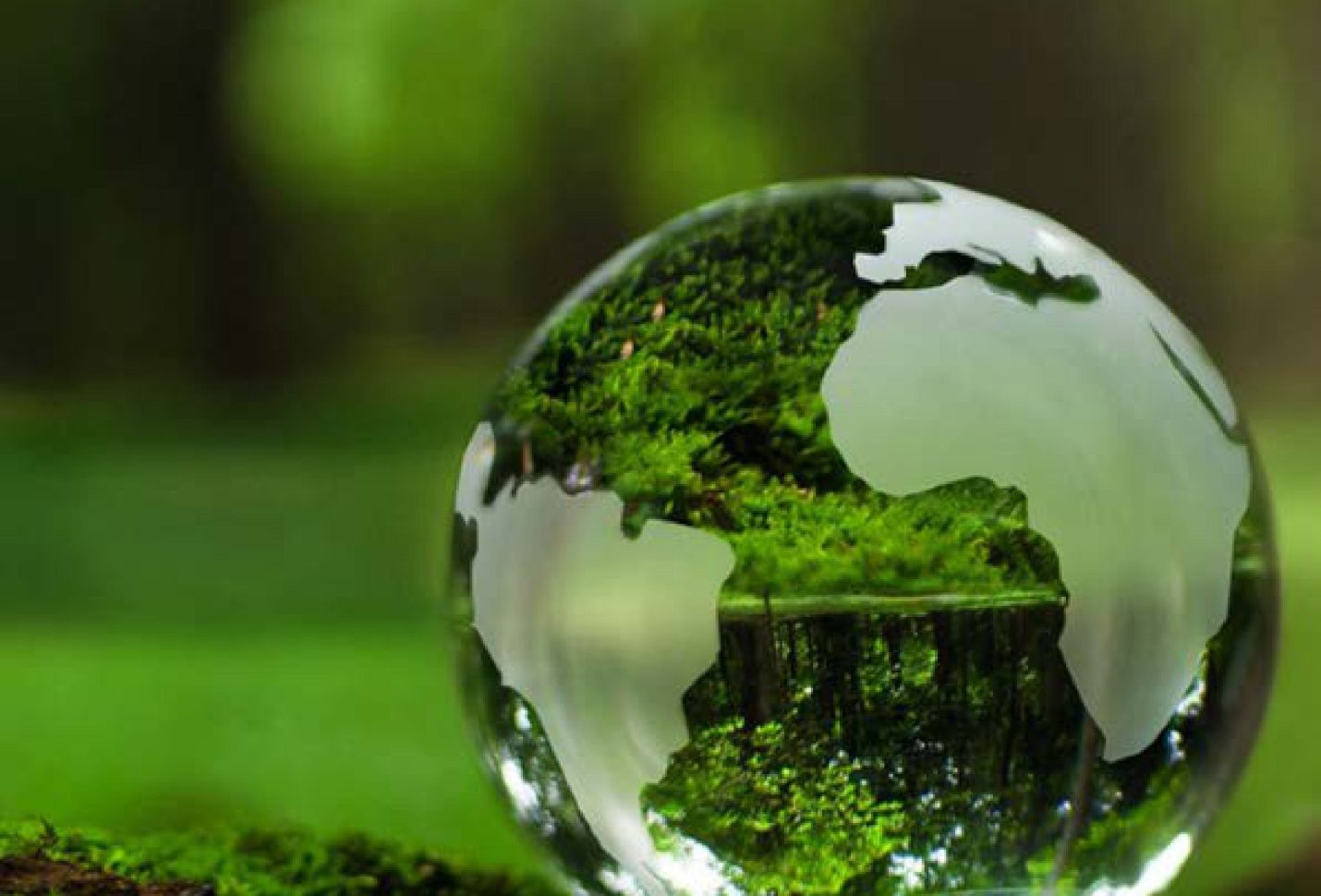 العدد الثانى عشر – سبتمبر  2025