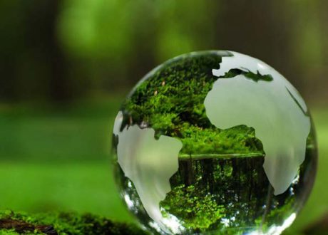 العدد الثانى عشر – سبتمبر  2025