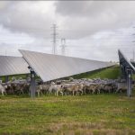 Mars cuts emissions by 17%, hits 100% renewable power across US oerations