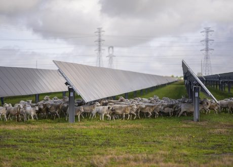 Mars cuts emissions by 17%, hits 100% renewable power across US oerations