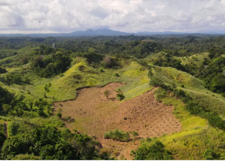 Google backs 260,000-ton agroforestry carbon removal Project in Indonesia
