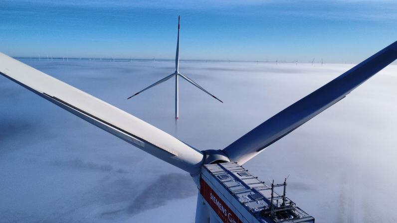 DHL signs 10-year wind power deal to cover 8% of Germany electricity demand