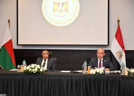 وزير الاستثمار ورئيس مدغشقر يبحثان تعزيز الشراكة الاقتصادية.. والتبادل التجاري بين البلدين يسجل 123 مليون دولار