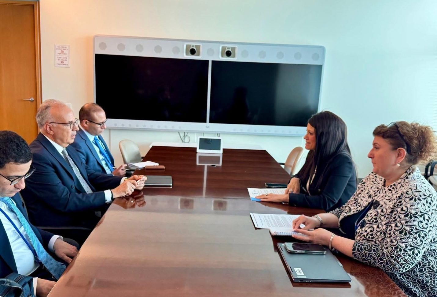 وزير الري يبحث مع الأمينة التنفيذية للإسكوا تعزيز التعاون العربي في مجالات المياه والتنمية المستدامة