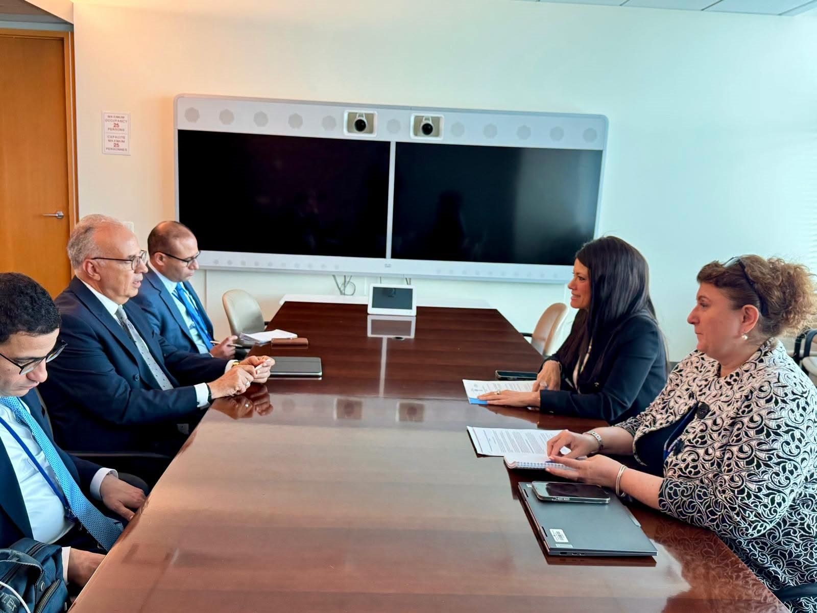 وزير الري يبحث مع الأمينة التنفيذية للإسكوا تعزيز التعاون العربي في مجالات المياه والتنمية المستدامة