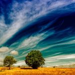 El Niño intensifies, raising global risks of drought, floods, wildfires: WMO