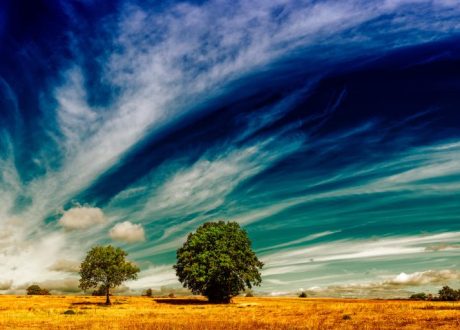El Niño intensifies, raising global risks of drought, floods, wildfires: WMO