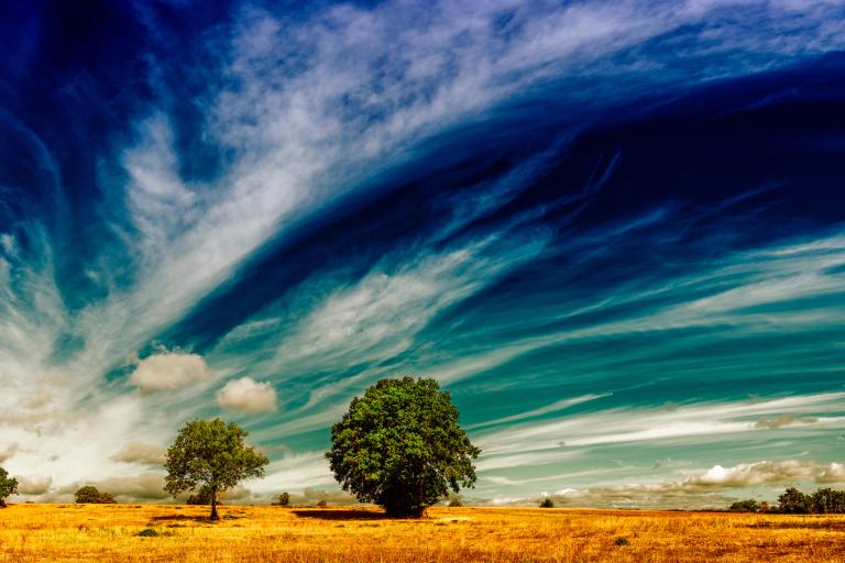 El Niño intensifies, raising global risks of drought, floods, wildfires: WMO
