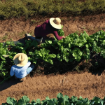 24% less emissions, 6% less virgin plastic: PepsiCo’s ESG push