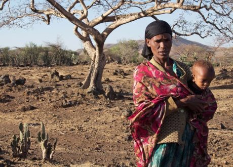 WFP: $1 in El Niño preparedness could save up to $7 as 49 mln face hunger risk