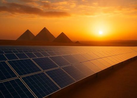 Egypt’s green shift moves from climate policy to economic security