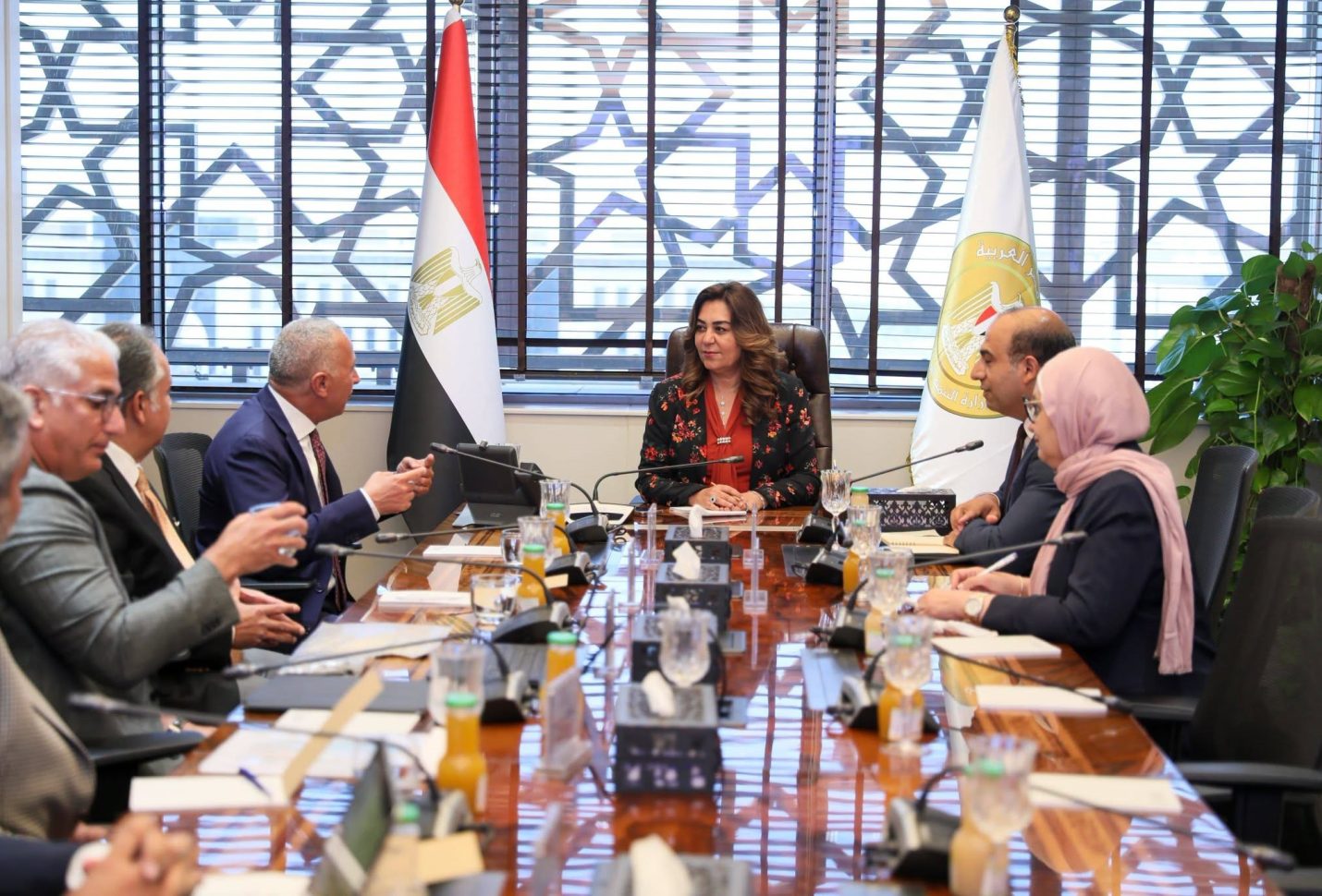 وزيرة التنمية المحلية والبيئة تبحث مع مستثمرين توطين تكنولوجيات حديثة لتحويل المخلفات إلى وقود وتعزيز الاستثمارات الخضراء