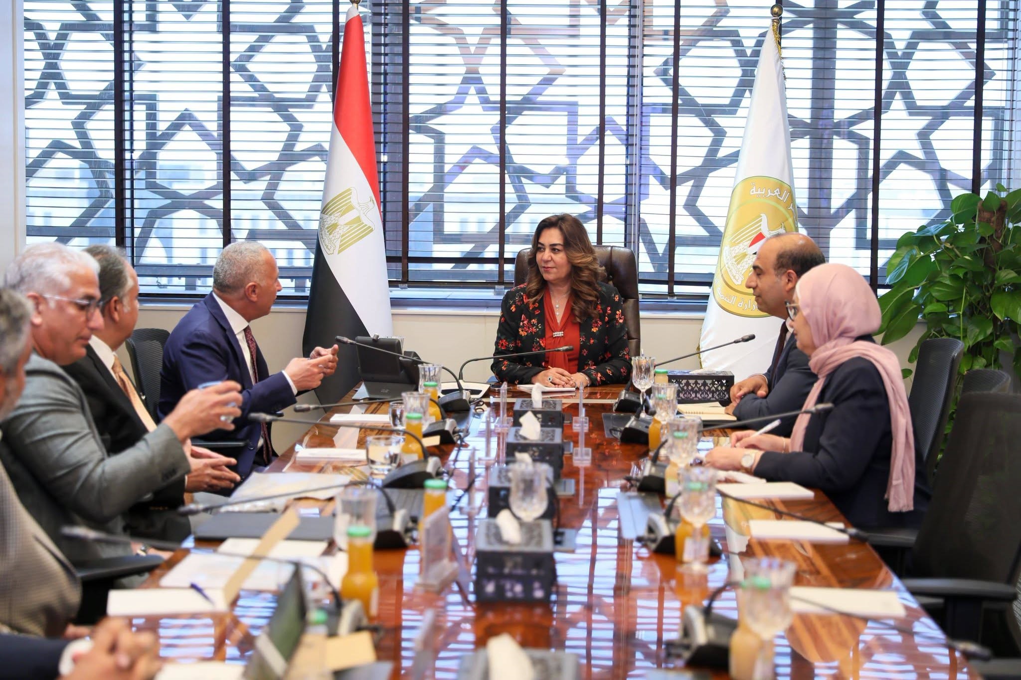 وزيرة التنمية المحلية والبيئة تبحث مع مستثمرين توطين تكنولوجيات حديثة لتحويل المخلفات إلى وقود وتعزيز الاستثمارات الخضراء