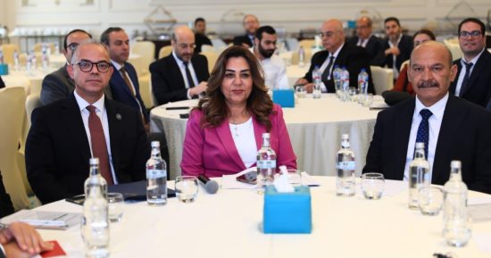 Egypt launches IDEIA to fast-track green investments under €271 mln program