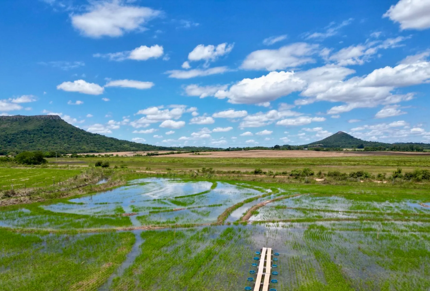 Google signs 2mln-ton methane, carbon removal deal with Terradot