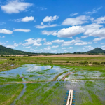 Google signs 2mln-ton methane, carbon removal deal with Terradot