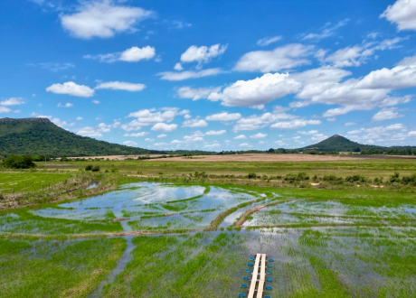 Google signs 2mln-ton methane, carbon removal deal with Terradot
