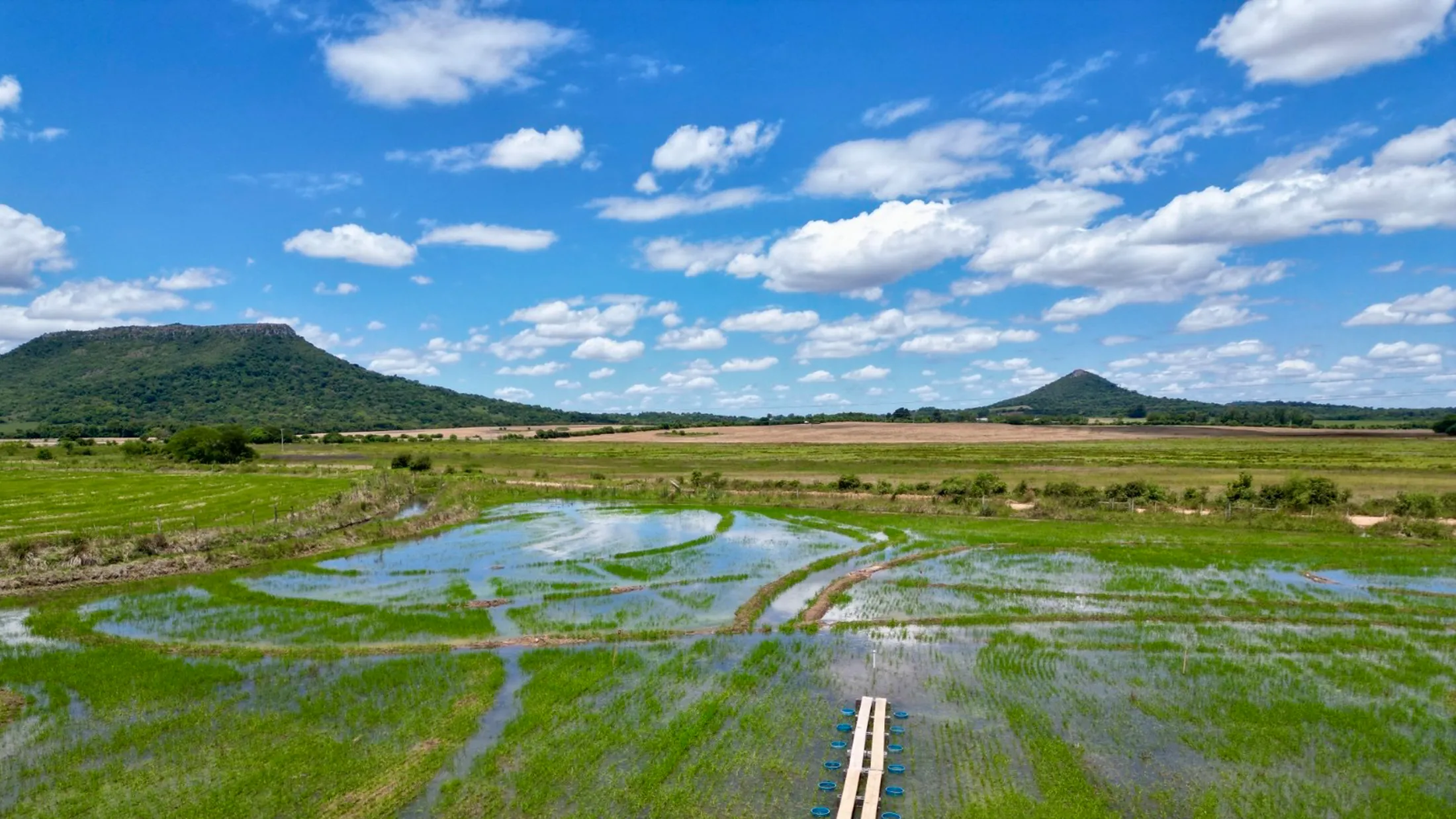 Google signs 2mln-ton methane, carbon removal deal with Terradot