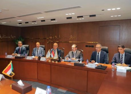 اجتماع مصري سوداني لتعزيز التعاون في مشروعات التنمية الزراعية والأمن الغذائي
