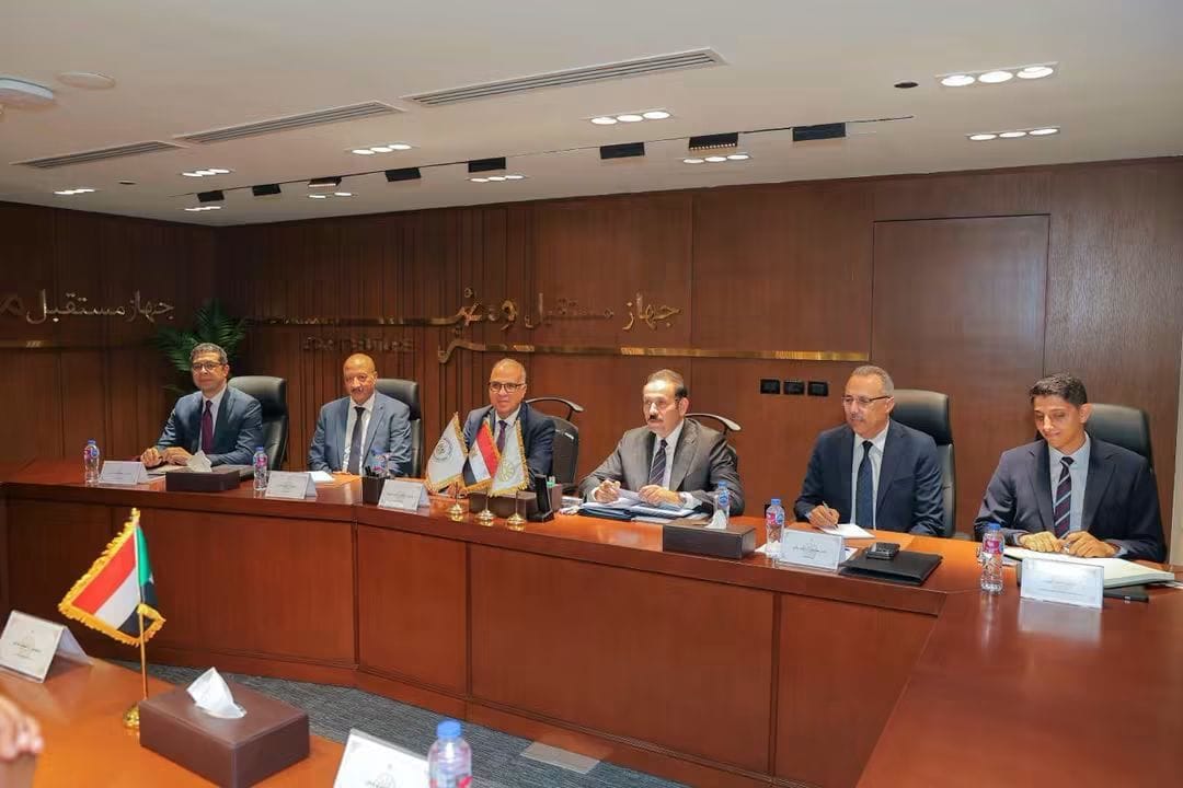 اجتماع مصري سوداني لتعزيز التعاون في مشروعات التنمية الزراعية والأمن الغذائي