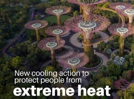 Global Cooling Pledge mobilizes $36 mln for nature-based cooling