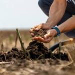 Agreena lands 4.45mln-ton carbon deal for 1.6 mln hectares of Kazakh farmland