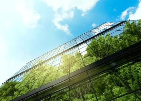 Capgemini: 68% of executives prioritize climate adaptation, 83% plan to increase spending