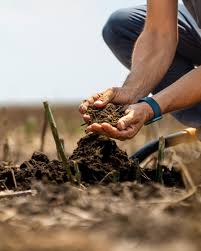 Agreena lands 4.45mln-ton carbon deal for 1.6 mln hectares of Kazakh farmland