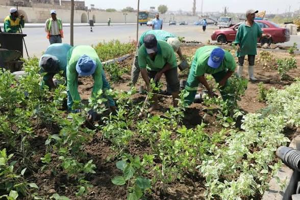 60 ألف شجرة و800 ألف نبتة.. مستهدفات مشروع «تخضير القاهرة» خلال العام الجاري