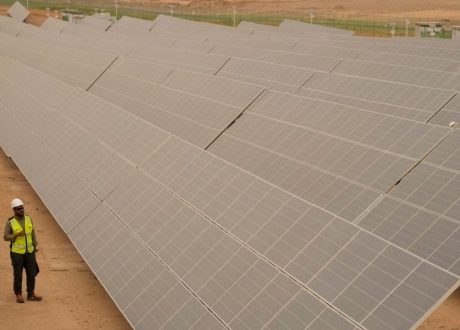 مصر تُسرّع التحول الأخضر..من تأمين الطاقة والمياه إلى جذب الاستثمارات