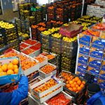 «معلومات الوزراء»: 6.9 مليار دولار صادرات الصناعات الغذائية في 2025 بزيادة 68.3%.. و87 صومعة بسعة 3.8 ملايين طن