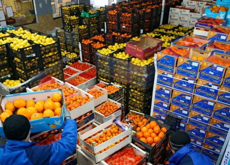 «معلومات الوزراء»: 6.9 مليار دولار صادرات الصناعات الغذائية في 2025 بزيادة 68.3%.. و87 صومعة بسعة 3.8 ملايين طن