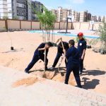 «التنمية المحلية والبيئة» تدعمان مدرسة الكرنك بـ150 شجرة لضمان استدامة التشجير